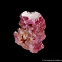 Corundum var. Ruby - image 5