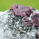 Corundum var. Ruby & ferroan Phlogopite 107 grams - Rai-Iz Ophiolite Massif, Russia - image 4