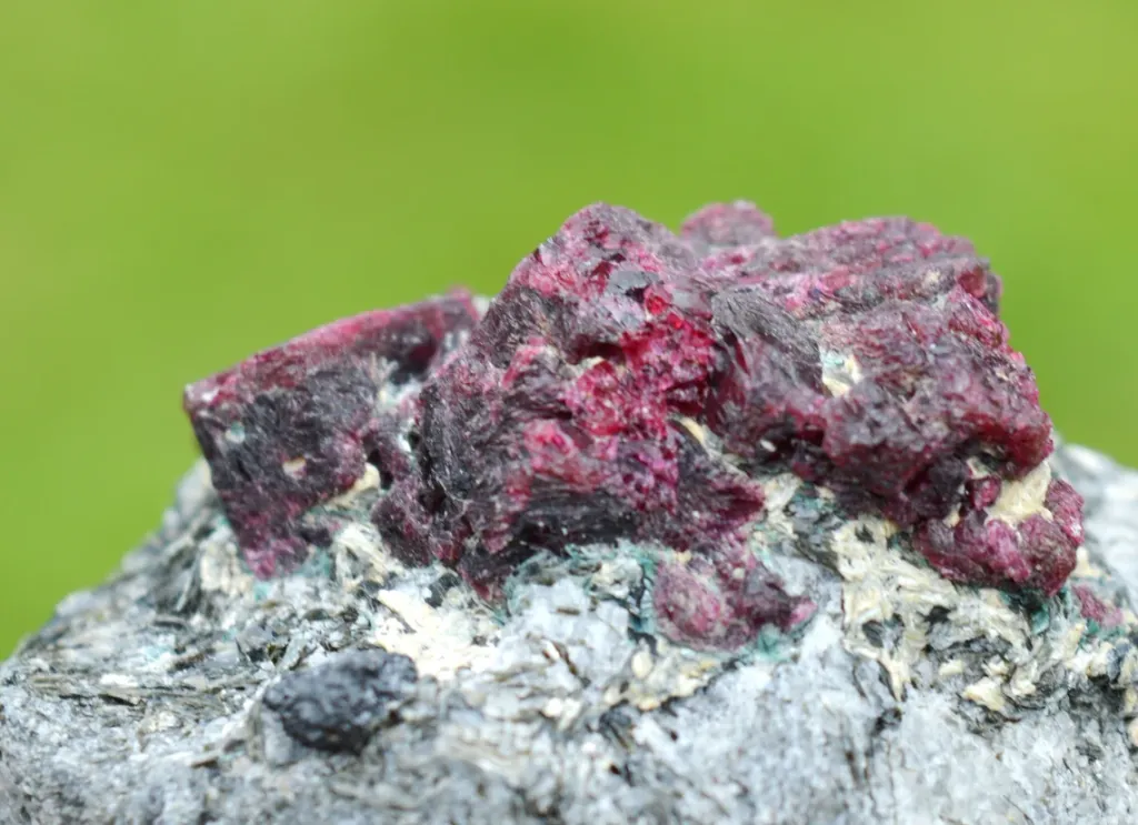 Corundum var. Ruby & ferroan Phlogopite 107 grams - Rai-Iz Ophiolite Massif, Russia - image 5