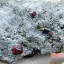 Corundum var. Ruby & ferroan Phlogopite 107 grams - Rai-Iz Ophiolite Massif, Russia - image 7