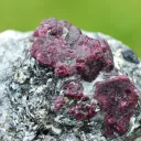 Corundum var. Ruby & ferroan Phlogopite 107 grams - Rai-Iz Ophiolite Massif, Russia - image 3