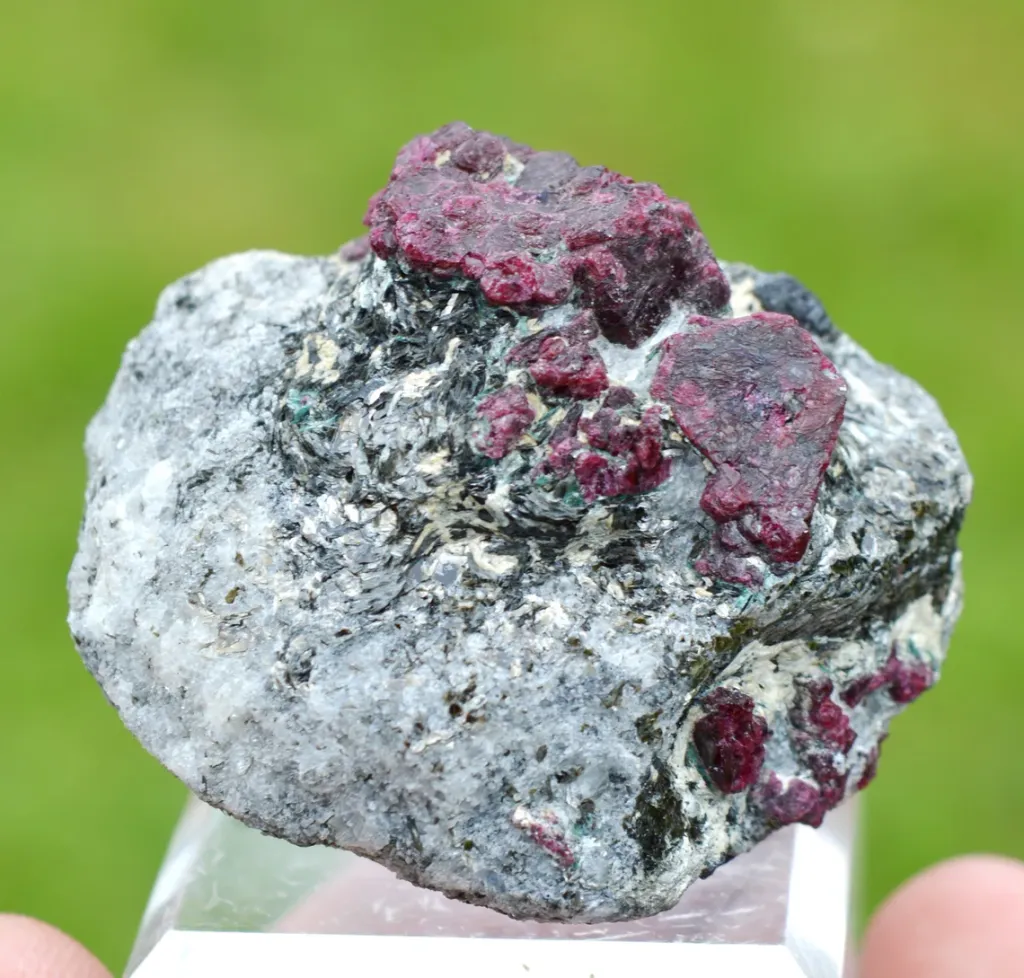 Corundum var. Ruby & ferroan Phlogopite 107 grams - Rai-Iz Ophiolite Massif, Russia image