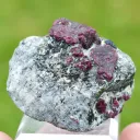 Corundum var. Ruby & ferroan Phlogopite 107 grams - Rai-Iz Ophiolite Massif, Russia - image 1