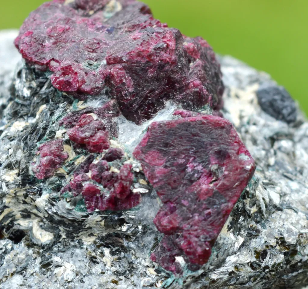 Corundum var. Ruby & ferroan Phlogopite 107 grams - Rai-Iz Ophiolite Massif, Russia - image 2