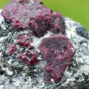 Corundum var. Ruby & ferroan Phlogopite 107 grams - Rai-Iz Ophiolite Massif, Russia - image 2