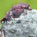 Corundum var. Ruby & ferroan Phlogopite 107 grams - Rai-Iz Ophiolite Massif, Russia - image 6