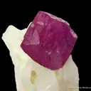 Corundum var. Ruby (fluorescent) - image 1