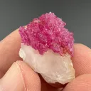 Corundum var. Ruby with Calcite - image 2