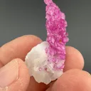 Corundum var. Ruby with Calcite - image 2