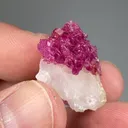 Corundum var. Ruby with Calcite - image 2