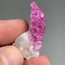 Corundum var. Ruby with Calcite - image 2