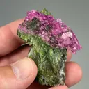 Corundum var. Ruby with Pargasite - image 2