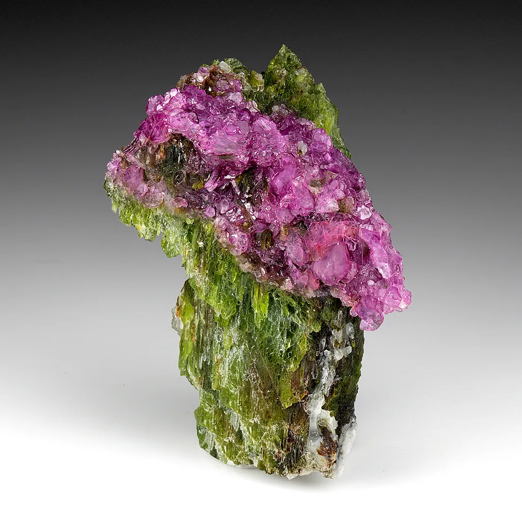 Corundum var. Ruby with Pargasite image