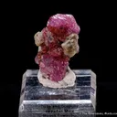 Corundum var. Ruby with Scapolite - image 4