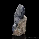 Corundum var. Sapphire on Muscovite - image 4