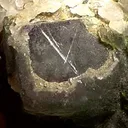 Cosalite, Fluorite - image 2