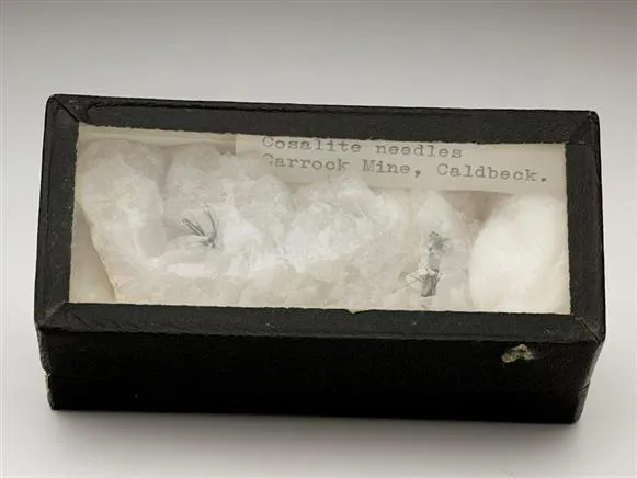 Cosalite in Quartz image
