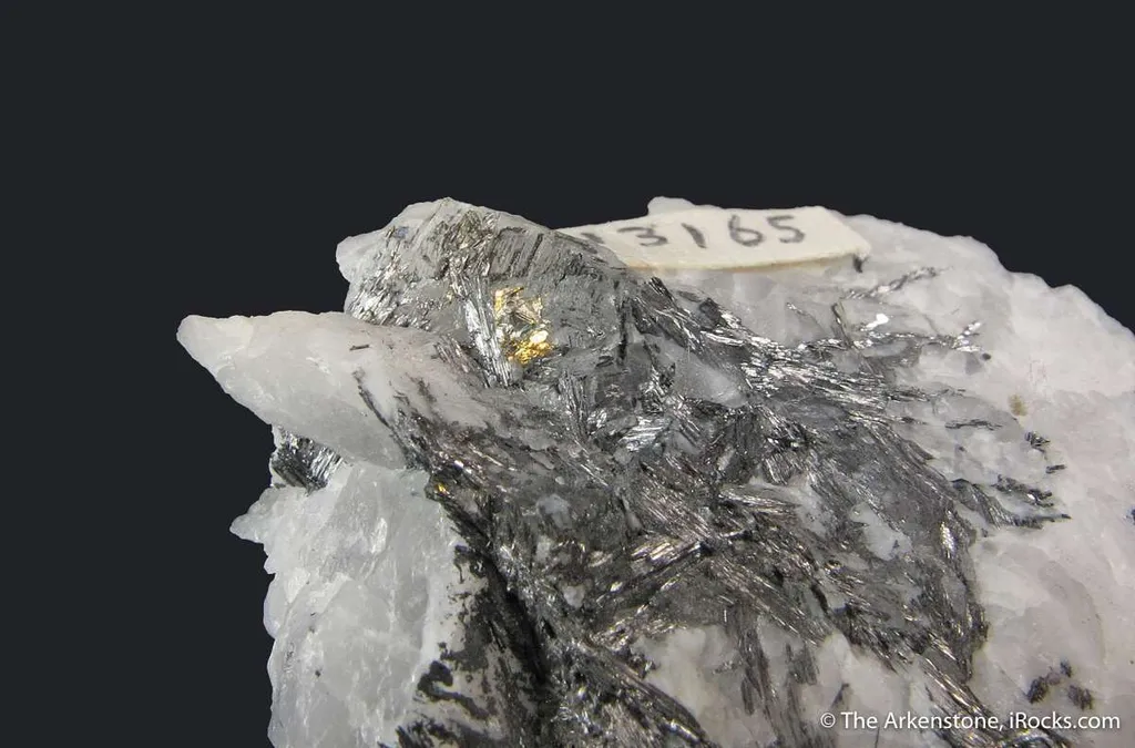 Cosalite with Gold, on Quartz image