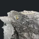 Cosalite with Gold, on Quartz - image 1