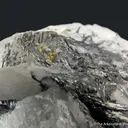 Cosalite with Gold, on Quartz - image 4