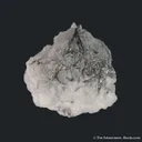 Cosalite with Gold, on Quartz - image 5