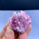 specimen video