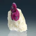 Coundum Var. Ruby - image 2