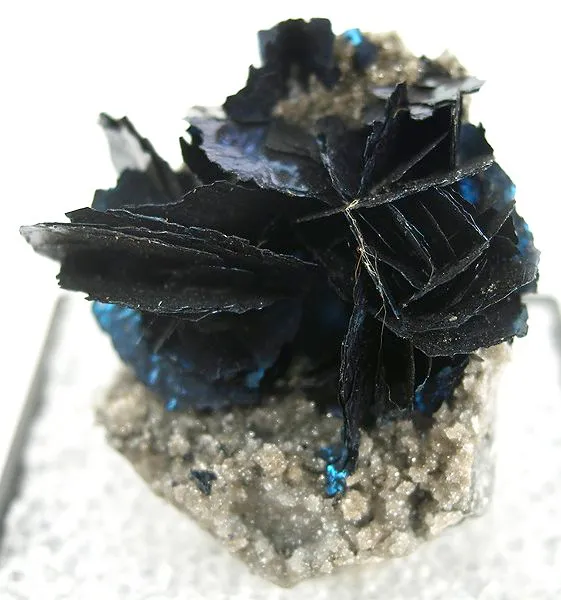 Covellite image