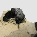 Covellite (Illustrated!) - image 5