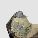 Covellite (Illustrated!) - image 4