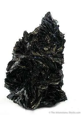 Covellite With Chalcopyrite image