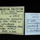 Covellite With Djurleite Ps. Pyrite and Chalcopyrite - image 6