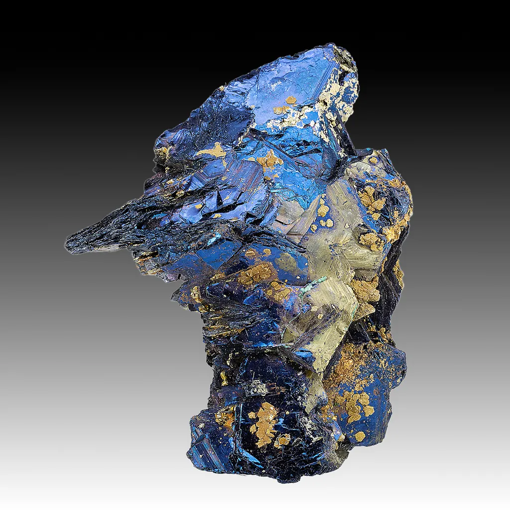 Covellite with Pyrite image