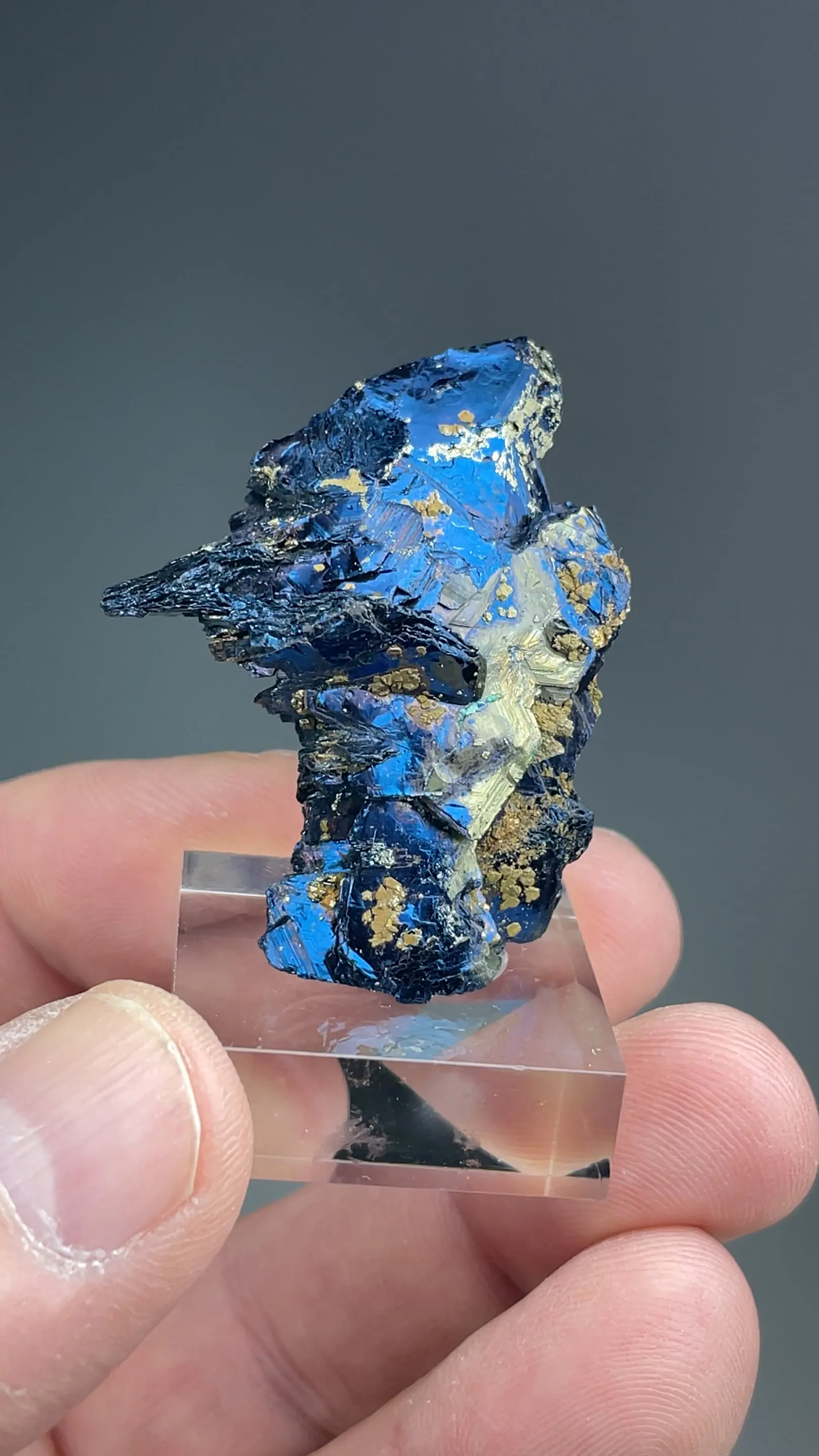 Covellite with Pyrite - image 2