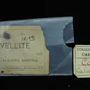 Covellite With Pyrite - image 5