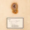 Coyamito Agate - image 1