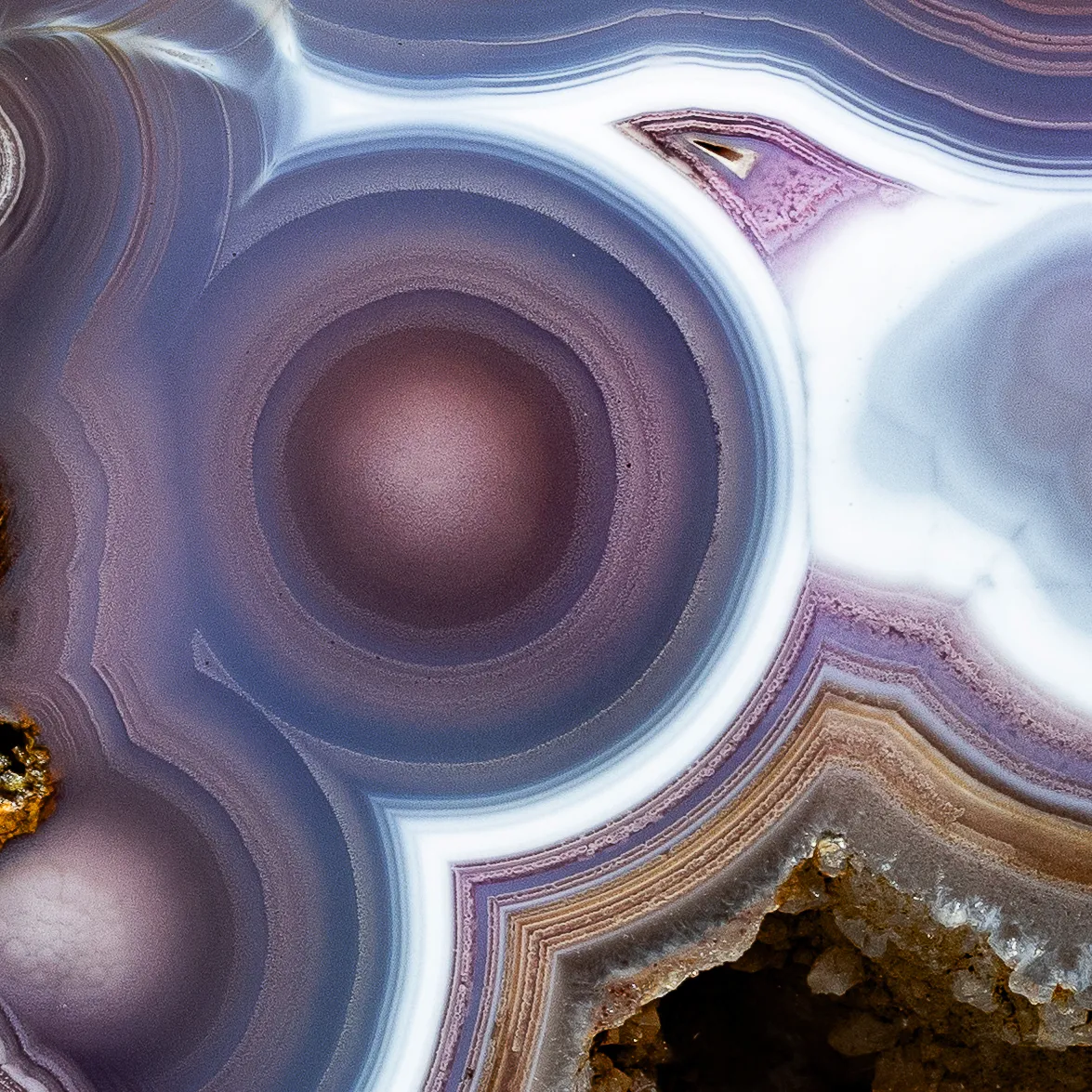 Coyamito Agate - image 3