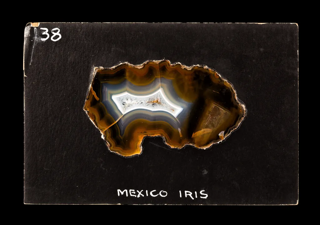 Coyamito Agate (Transmitted light) - image 2