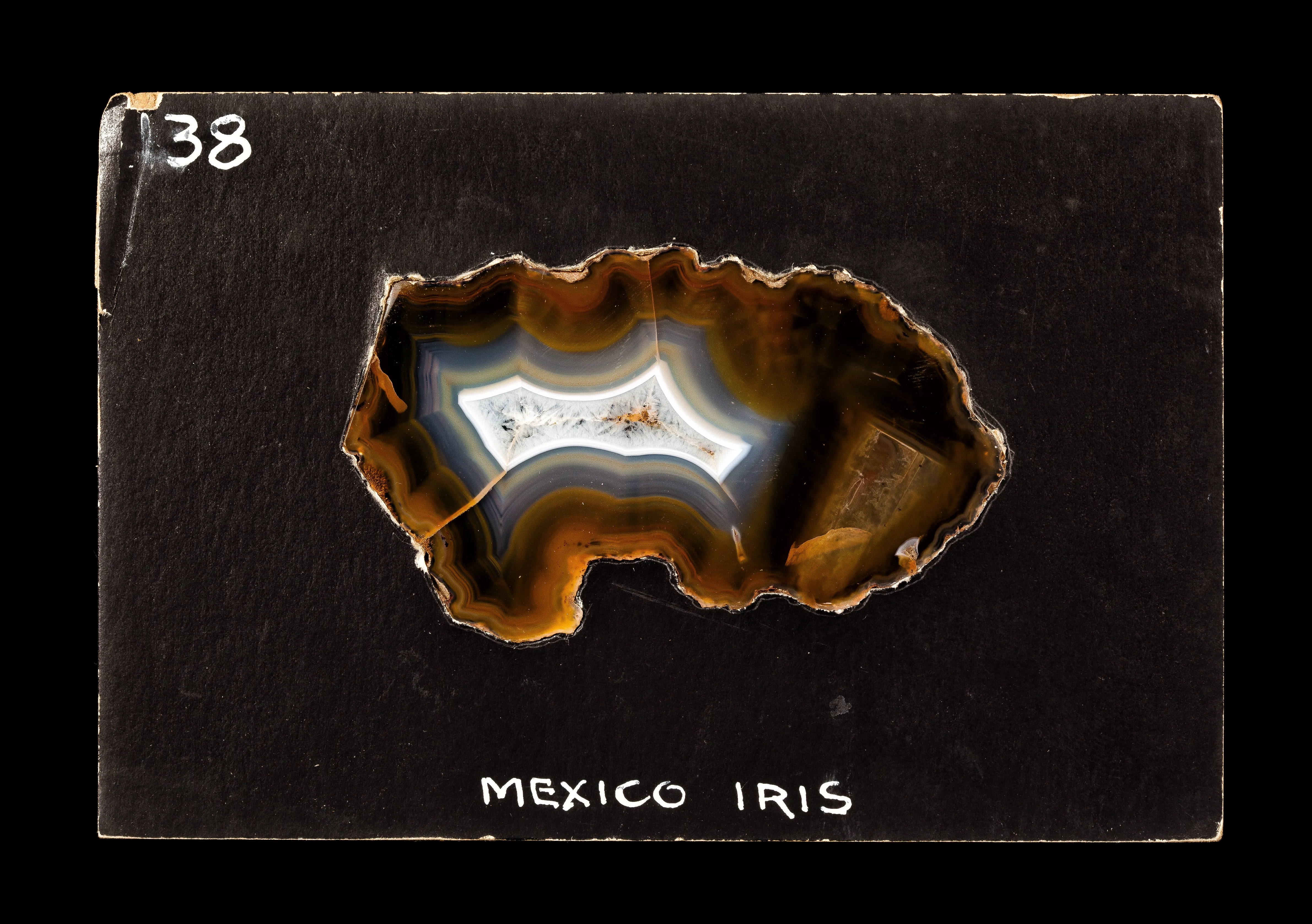 Coyamito Agate (Transmitted light) - image 2