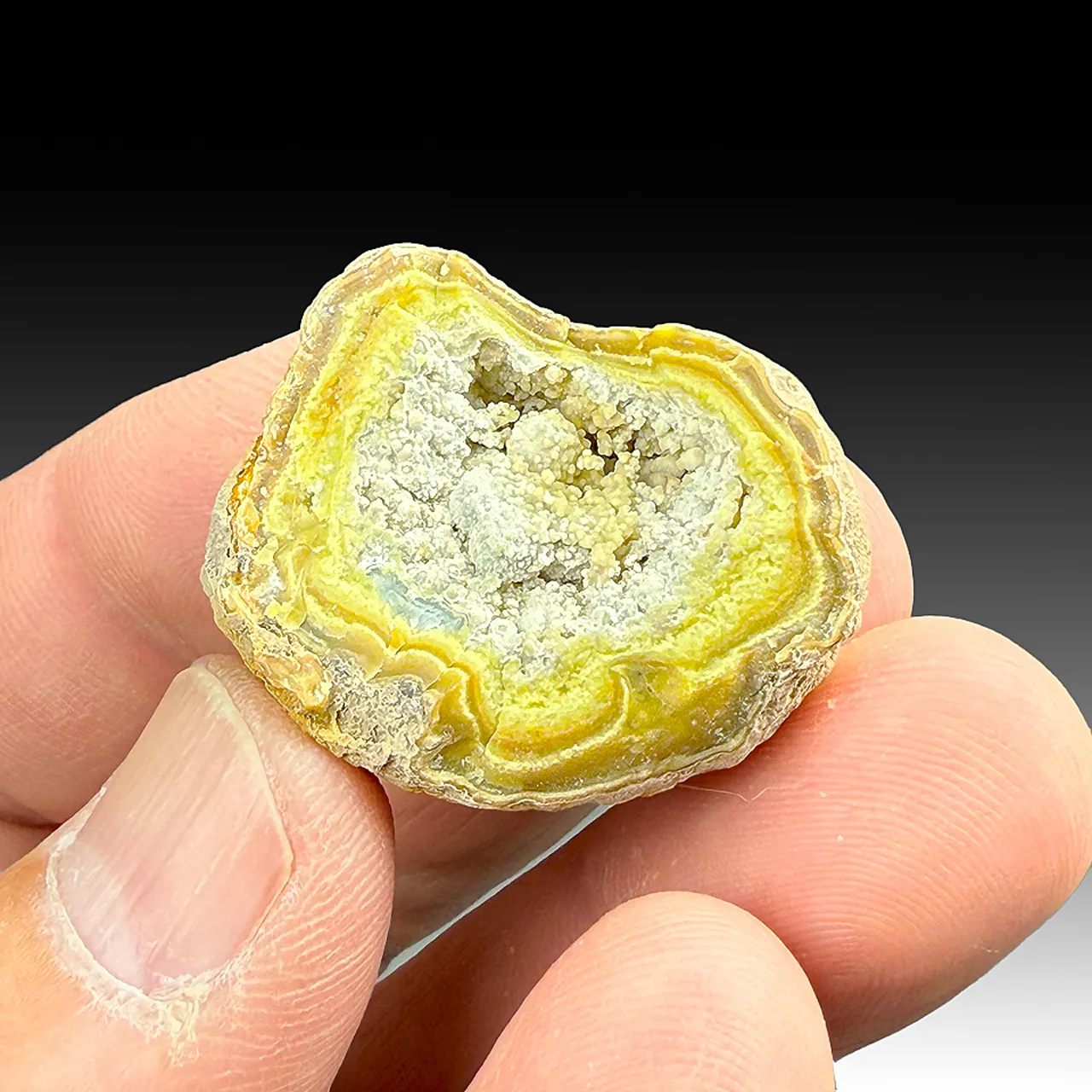 Crandallite with Variscite - image 1