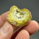 Crandallite with Variscite - image 2