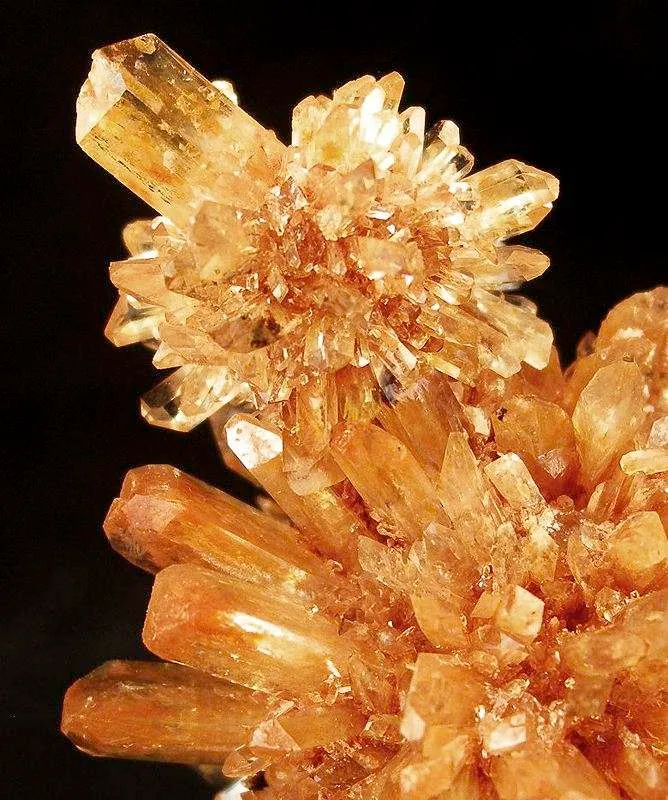 Creedite - image 3