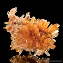 Creedite - image 6