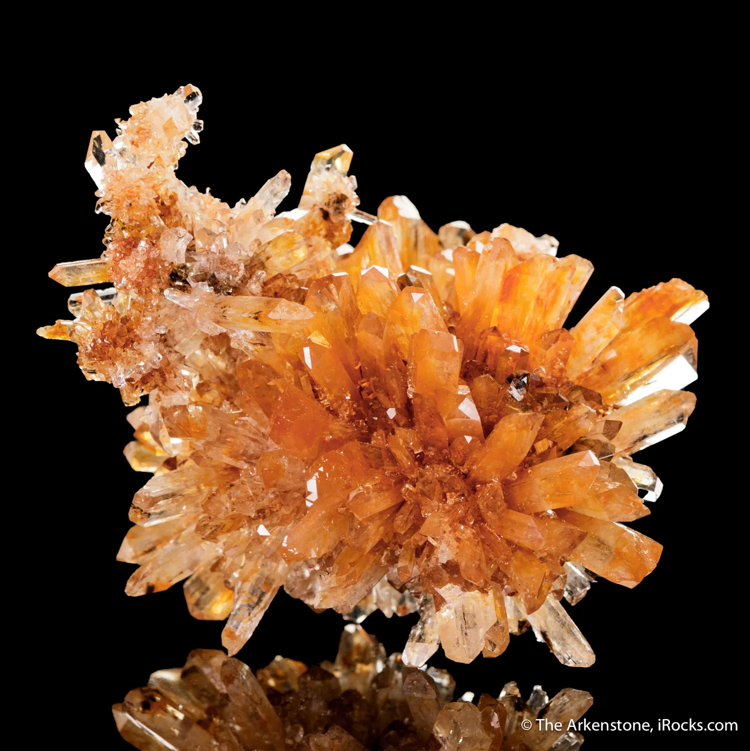 Creedite - image 6