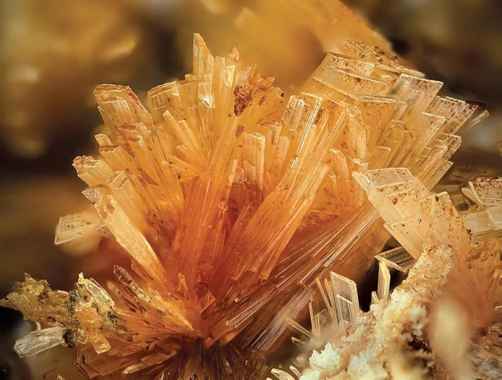 Creedite - image 1