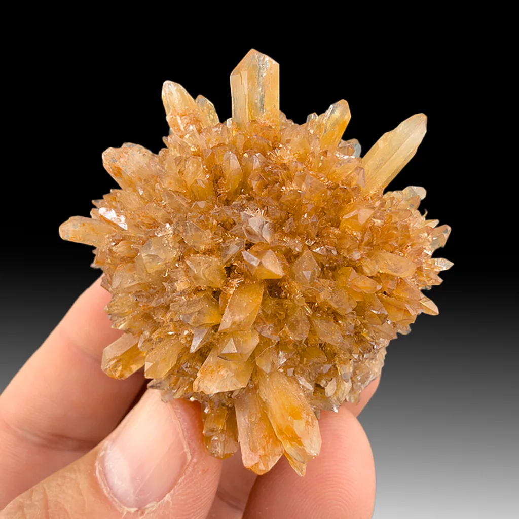 Creedite - image 1