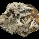 Creedite - image 1