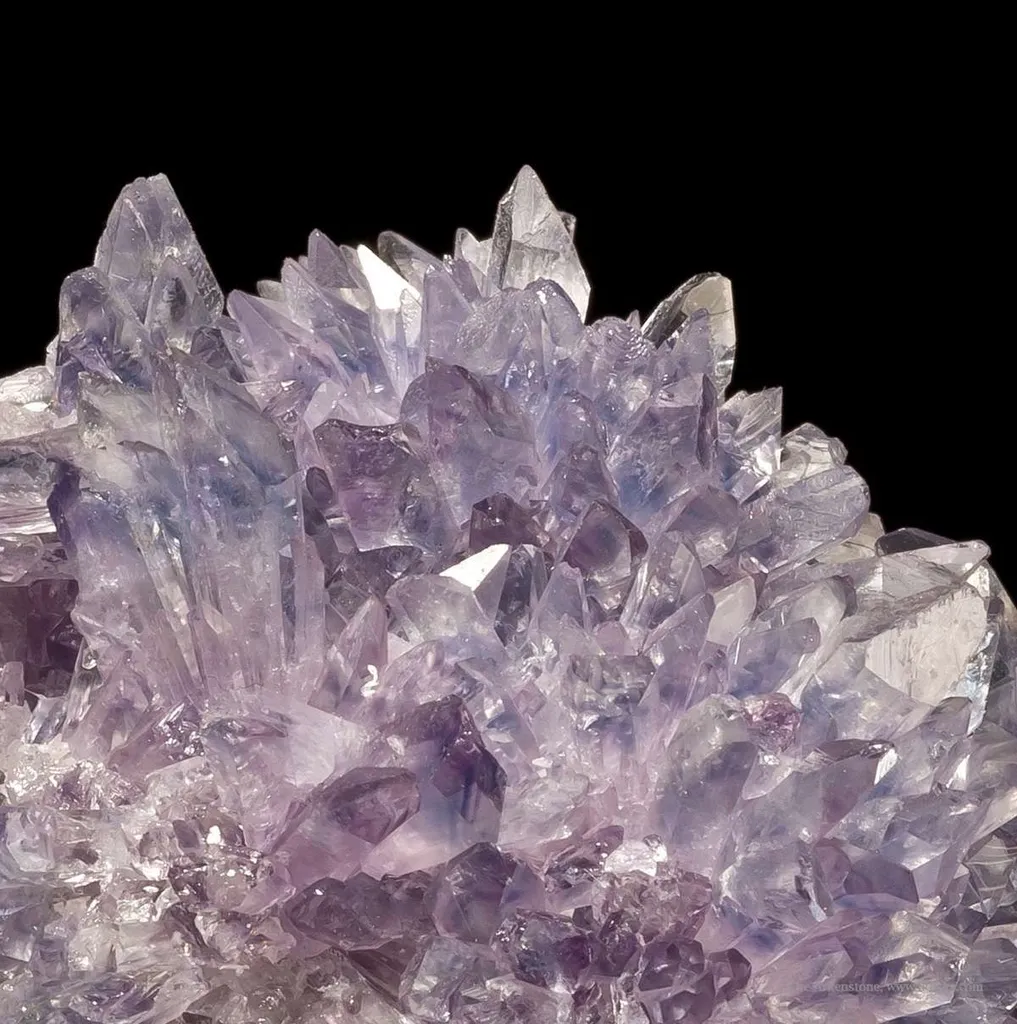 Creedite - image 2