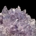 Creedite - image 2