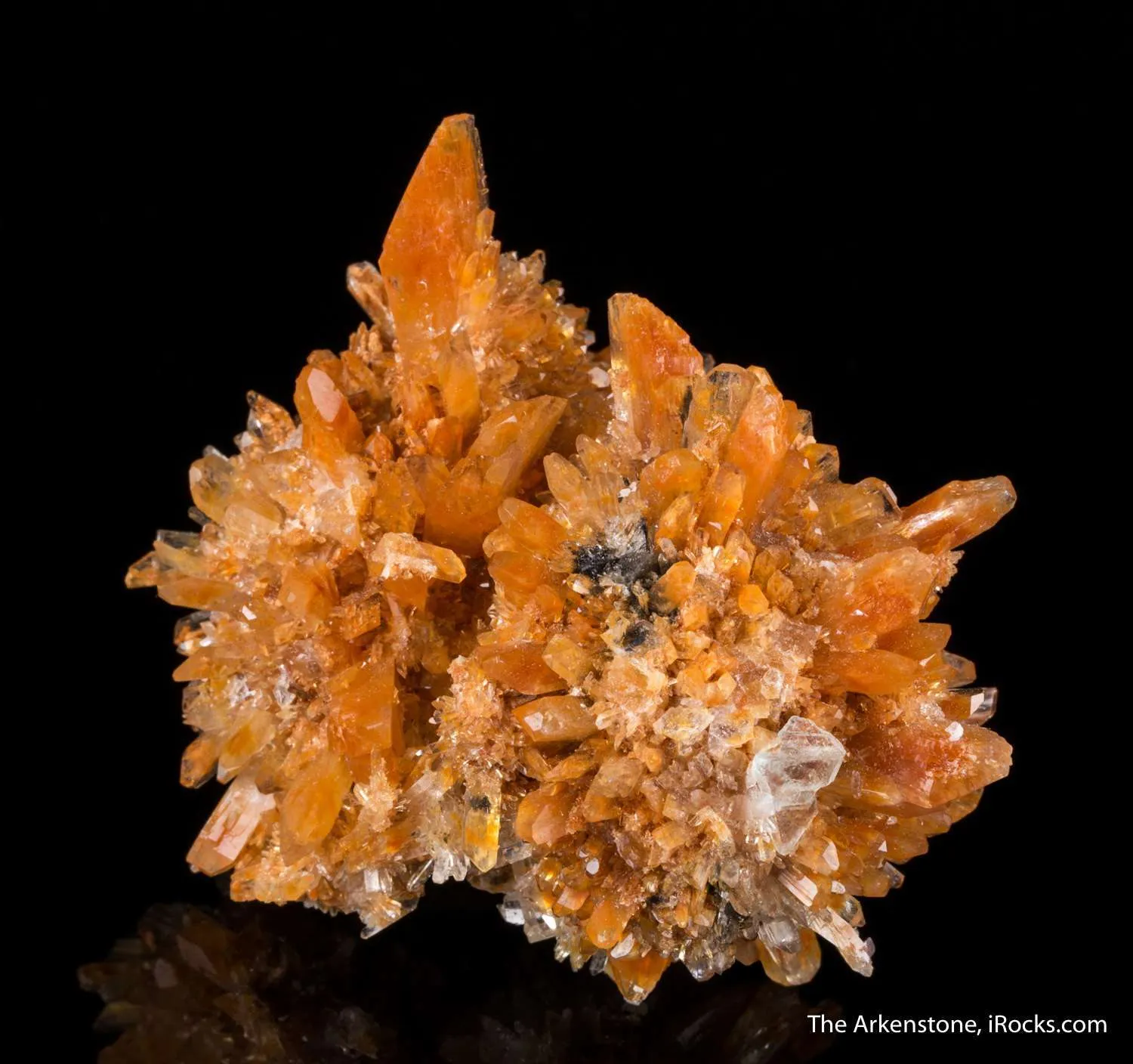 Creedite - image 2